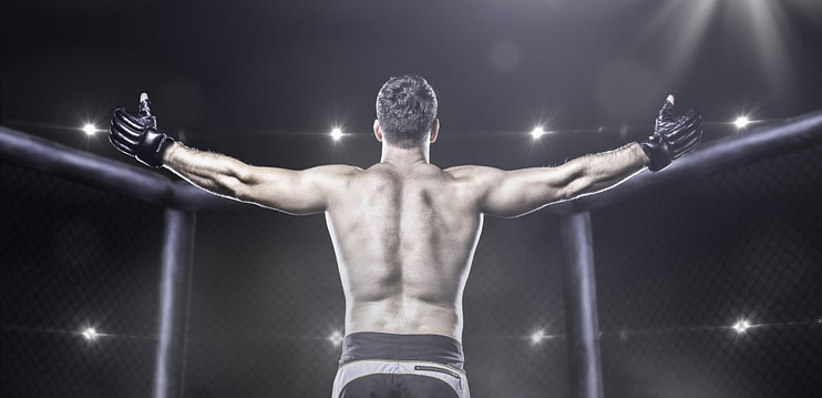 MMA fighter combining striking and grappling techniques in an octagon ring MMA fighter combining striking and grappling techniques in an octagon ring