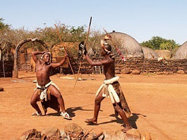 Nguni Fighting in South Africa Nguni Fighting in South Africa | Fighting Arts Health Lab