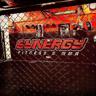 Pakistan Synergy Fitness and MMA Pakistan Synergy Fitness and MMA | Fighting Arts Health Lab