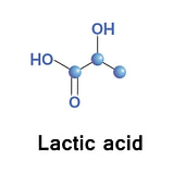 Combat Arts Energy Systems Lactic Acid Model Combat Arts Energy Systems Lactic Acid Model