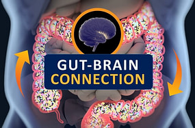 MMA Metabolism Leaky Gut Syndrome MMA Metabolism Leaky Gut Syndrome | Fighting Arts Health Lab