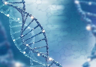 Genetics Impact on Stretching Genetics Impact on Stretching | Fighting Arts Health Lab