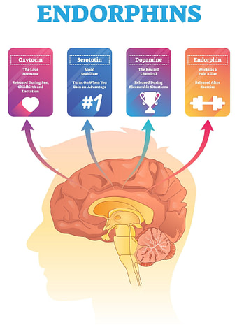 Sleep and Happy Hormones Sleep and Happy Hormones