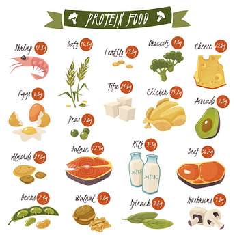 Protein Foods Pyramid Protein Foods Pyramid | Fighting Arts Health Lab