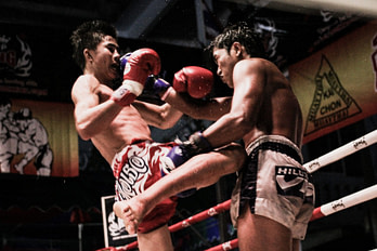 Hip Injury Causes Hip Injury Causes | Fighting Arts Health Lab