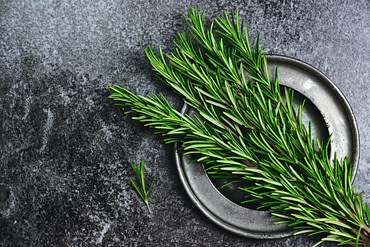Brain Food Rosemary Brain Food Rosemary | Fighting Arts Health Lab