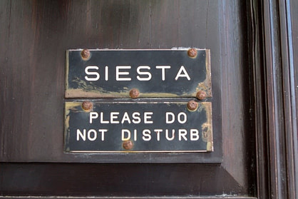 Siesta Napping Siesta Napping
