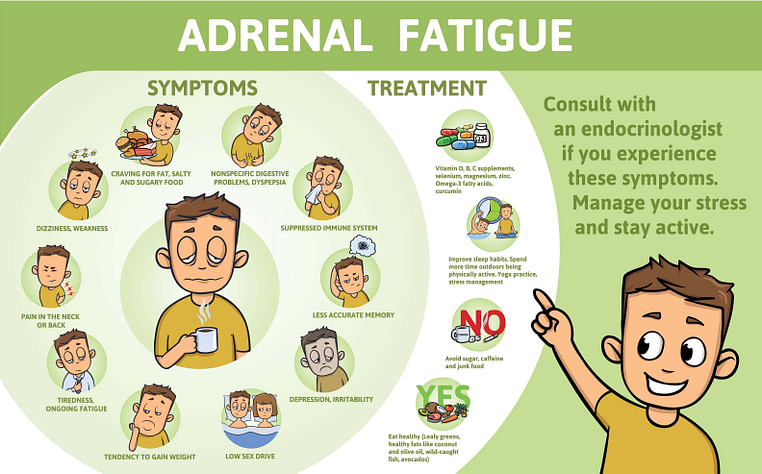 MMA Metabolism Disease Adrenal Fatigue MMA Metabolism Disease Adrenal Fatigue | Fighting Arts Health Lab