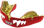 Dental Injuries Opro Mouthguard Dental Injuries Opro Mouthguard
