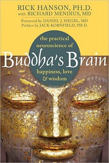 Buddas Brain Book Buddas Brain Book