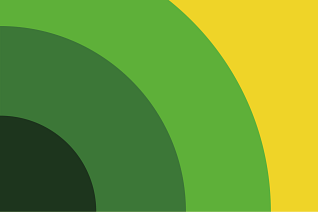 Mental Health Flag Megan Anderson Journey
