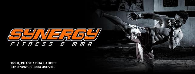 Synergy Fitness and MMA Synergy Fitness and MMA | Fighting Arts Health Lab
