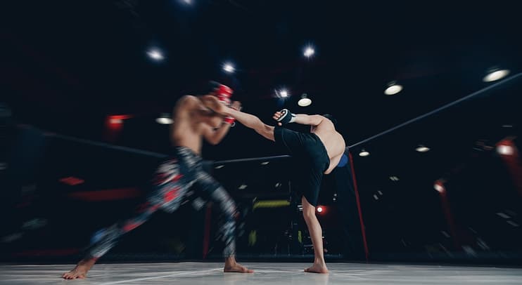 Roundhouse type of martial arts kick Roundhouse type of martial arts kick