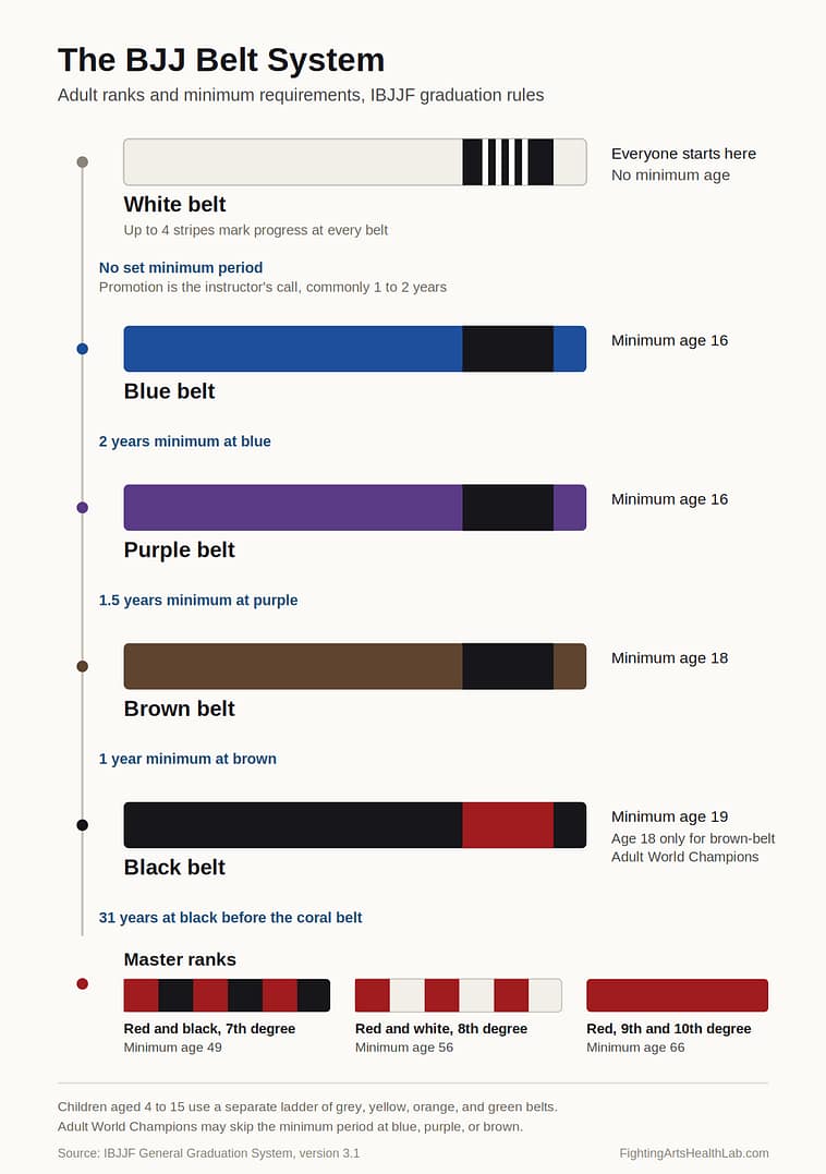 BJJ Belt System – IBJJF Adult Ranks and Minimum Requirements BJJ belt system chart showing IBJJF adult ranks from white to red belt with minimum ages and time required at each belt