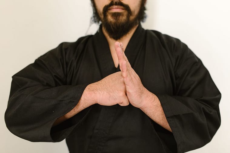 Kung Fu Fist-and-Palm Salute Kung fu student making the fist-and-palm salute