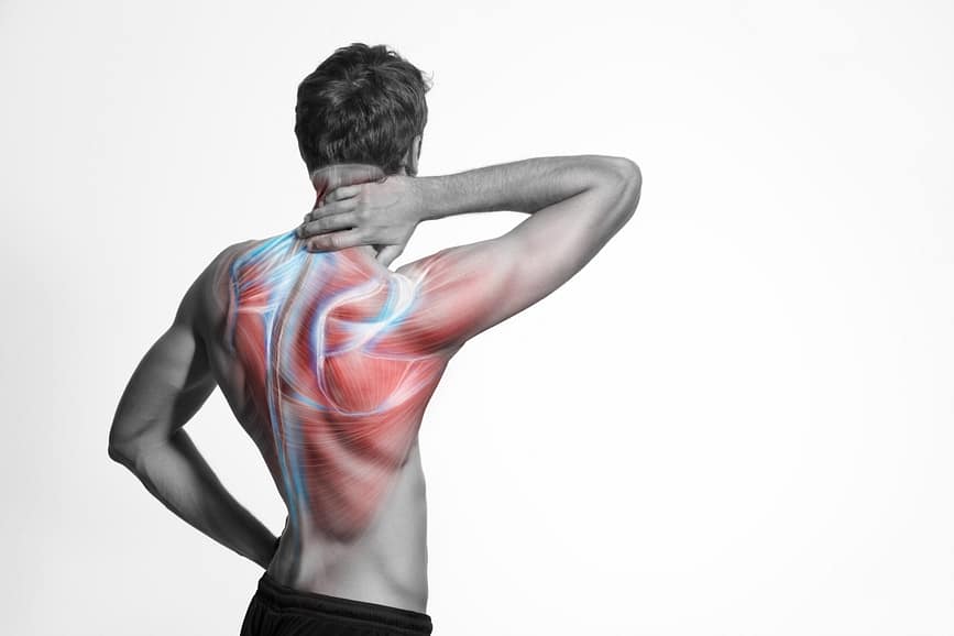 Spine Athlete Experiencing Lower Back Pain II Spine Injury Overview | Fighting Arts Health Lab