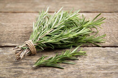 Nutritional Deficiencies Rosemary Nutritional Deficiencies Rosemary