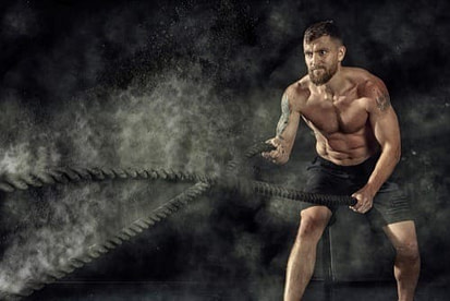 MMA Component of Fitness Muscle Endurance MMA Component of Fitness Muscle Endurance