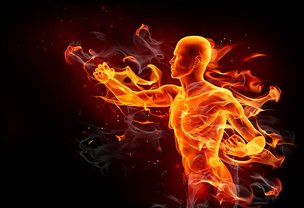 Metabolism on Fire Custom Keto Diet Meal Plan I Fighting Arts Health Lab Metabolism on Fire Custom Keto Diet Meal Plan I Fighting Arts Health Lab