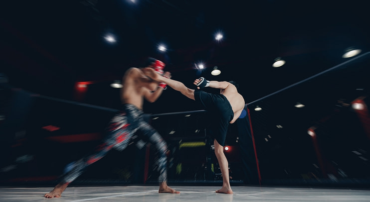 Roundhouse type of martial arts kick Roundhouse type of martial arts kick