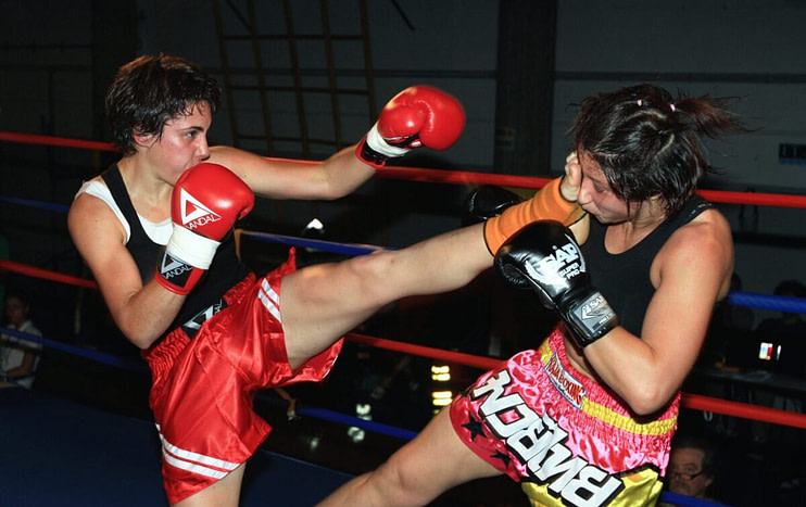 Different Types of Martial Arts Kick Front Kick Different Types of Martial Arts Kick Front Kick