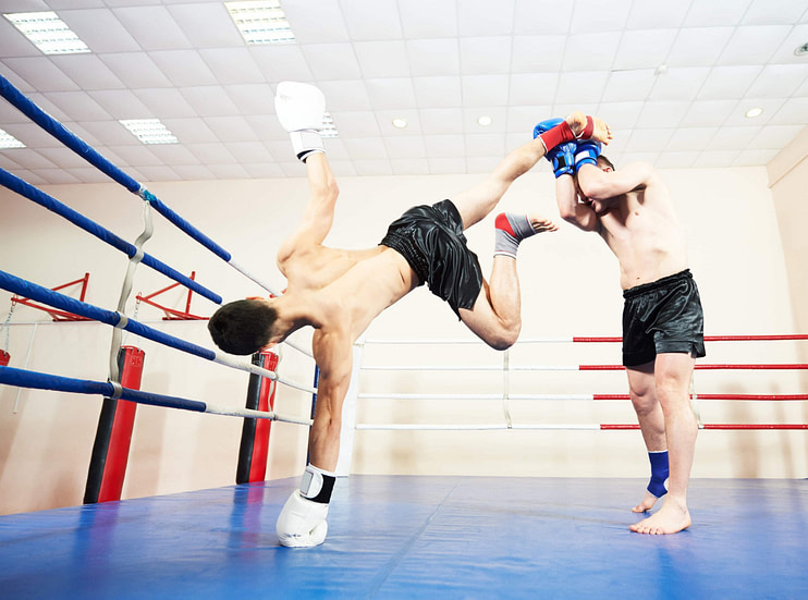 One Handed Head Kick One Handed Head Kick