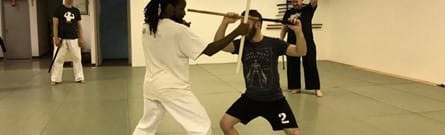 Bataireacht Maxine Training Bataireacht Maxine Training | Fighting Arts Health Lab