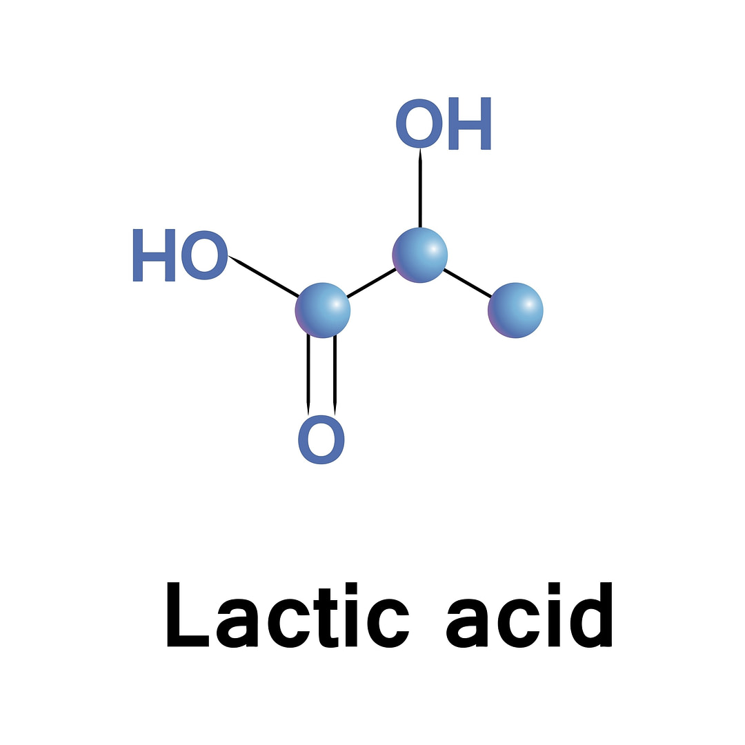 Lactic Acid Model Lactic Acid | Fighting Arts Health Lab