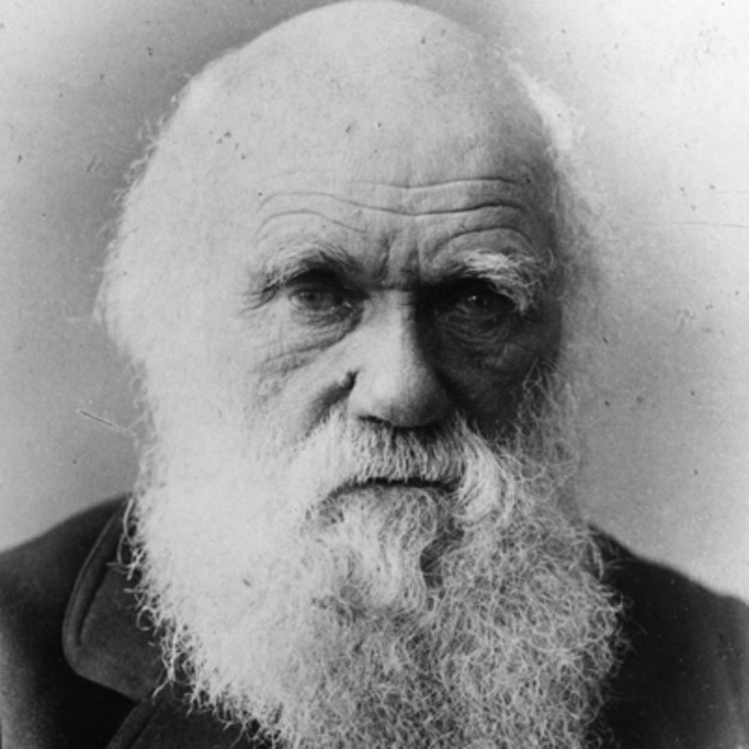 We're Inspired By Charles Darwin We're Inspired By Charles Darwin | Fighting Arts Health Lab