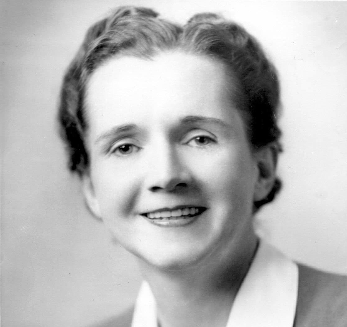 We're Inspired By Rachel Carson We're Inspired By Rachel Carson | Fighting Arts Health Lab