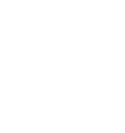 Flying Dragon Logo | Fighting Arts Health Lab