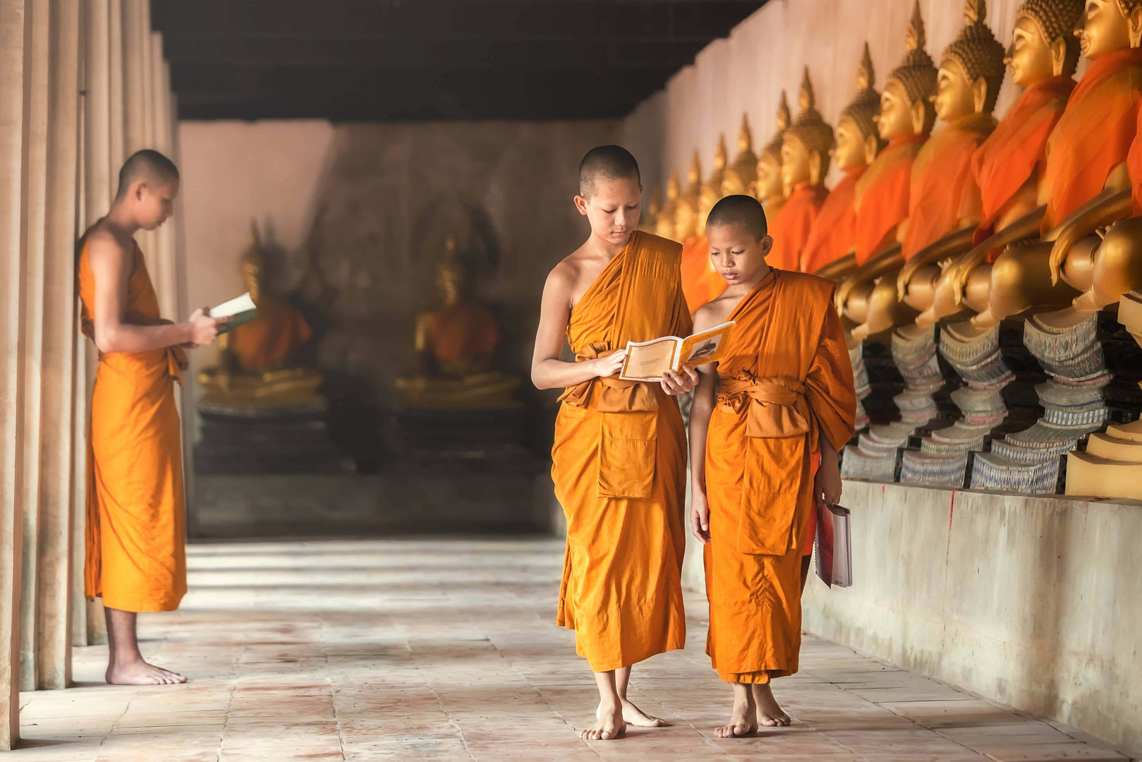 Buddhist Monks Buddhist Monks | Fighting Arts Health Lab