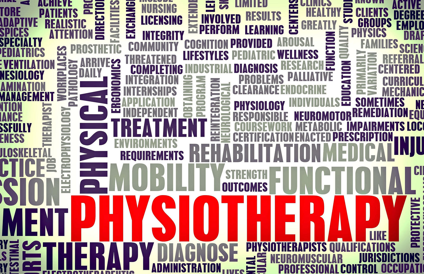 Physiotherapy Physiotherapy | Fighting Arts Health Lab