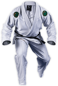 Gi Review | Fighting Arts Health Lab