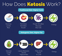 Ketosis Process I Fighting Arts Health Lab Ketosis Process I Fighting Arts Health Lab