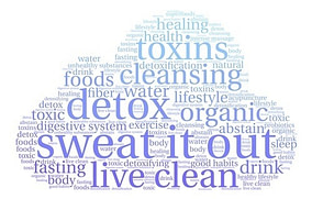 Sauna Detox Sauna Detox | Fighting Arts Health Lab