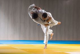 Combat Arts Lower Back Injury Causes Lower Back Injury Causes | Fighting Arts Health Lab