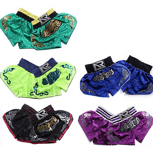 Sanda Womens Muay Thai Boxing Shorts Various Colors