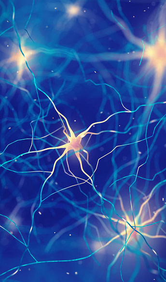 Body Electric Body Electric | Fighting Arts Health Lab