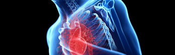 Chest Injury Symptoms Chest Injury Symptoms | Fighting Arts Health Lab