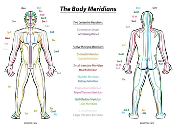Acupuncture Body Meridians Acupuncture Body Meridian | Fighting Arts Health Lab