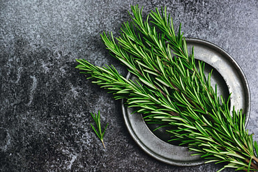 Brain Food Rosemary Brain Food Rosemary | Fighting Arts Health Lab