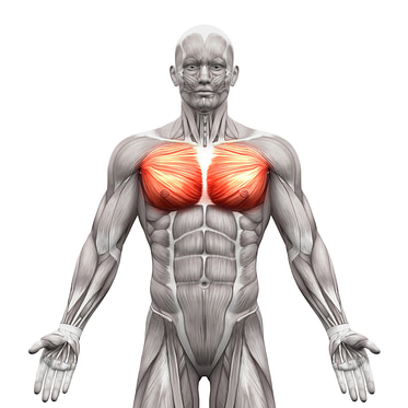 Chest Pain Symptoms Diagnosis Chest Pain Symptoms Diagnosis | Fighting Arts Health Lab