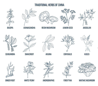 Workout Recovery Traditional Chinese Medicine Workout Recovery Traditional Chinese Medicine | Fighting Arts Health Lab