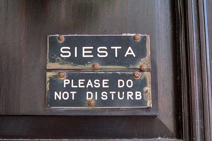 Siesta Napping Siesta Napping