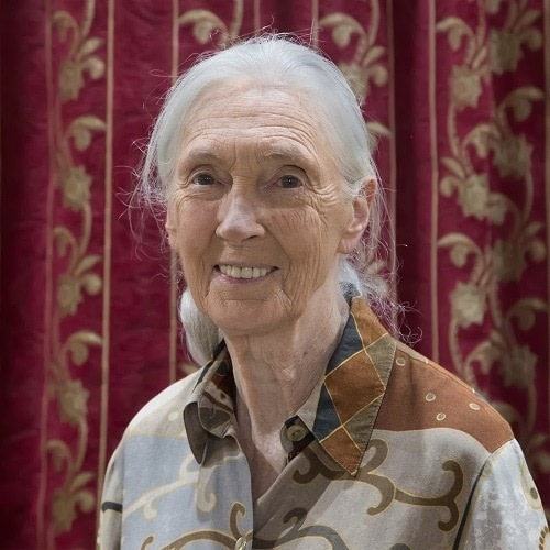 We're Inspired By Jane Goodall We're Inspired By Jane Goodall | Fighting Arts Health Lab