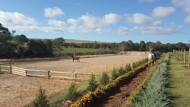 Practice Range at Griffen Archery Practice Range at Griffen Archery | Fighting Arts Health Labs