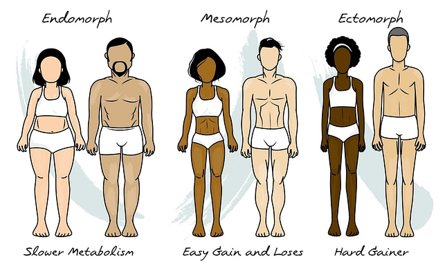 Body Types Body Types | Fighting Arts Health Lab