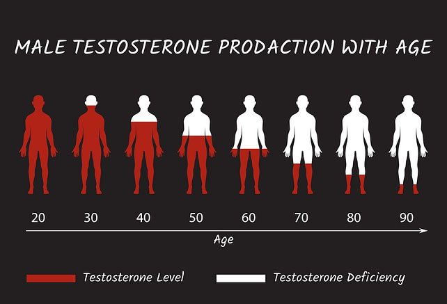 Testosterone v Estrogen Production Testosterone vs Estrogen Production Levels