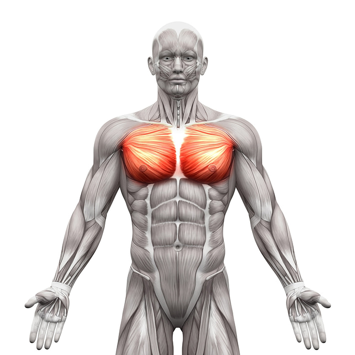 Chest Pain Symptoms Diagnosis Chest Pain Symptoms Diagnosis | Fighting Arts Health Lab